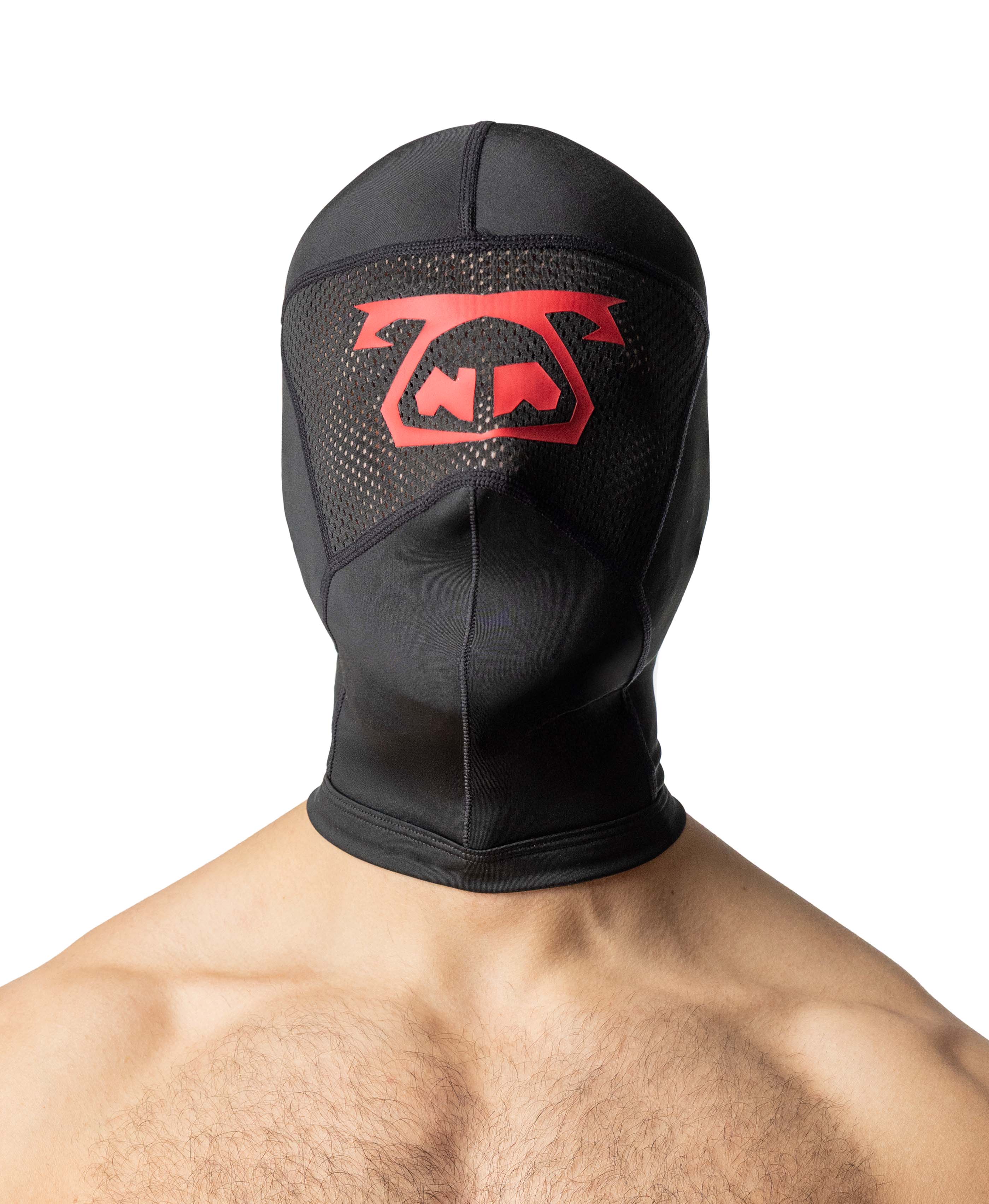 Front view of Wrecked Hood