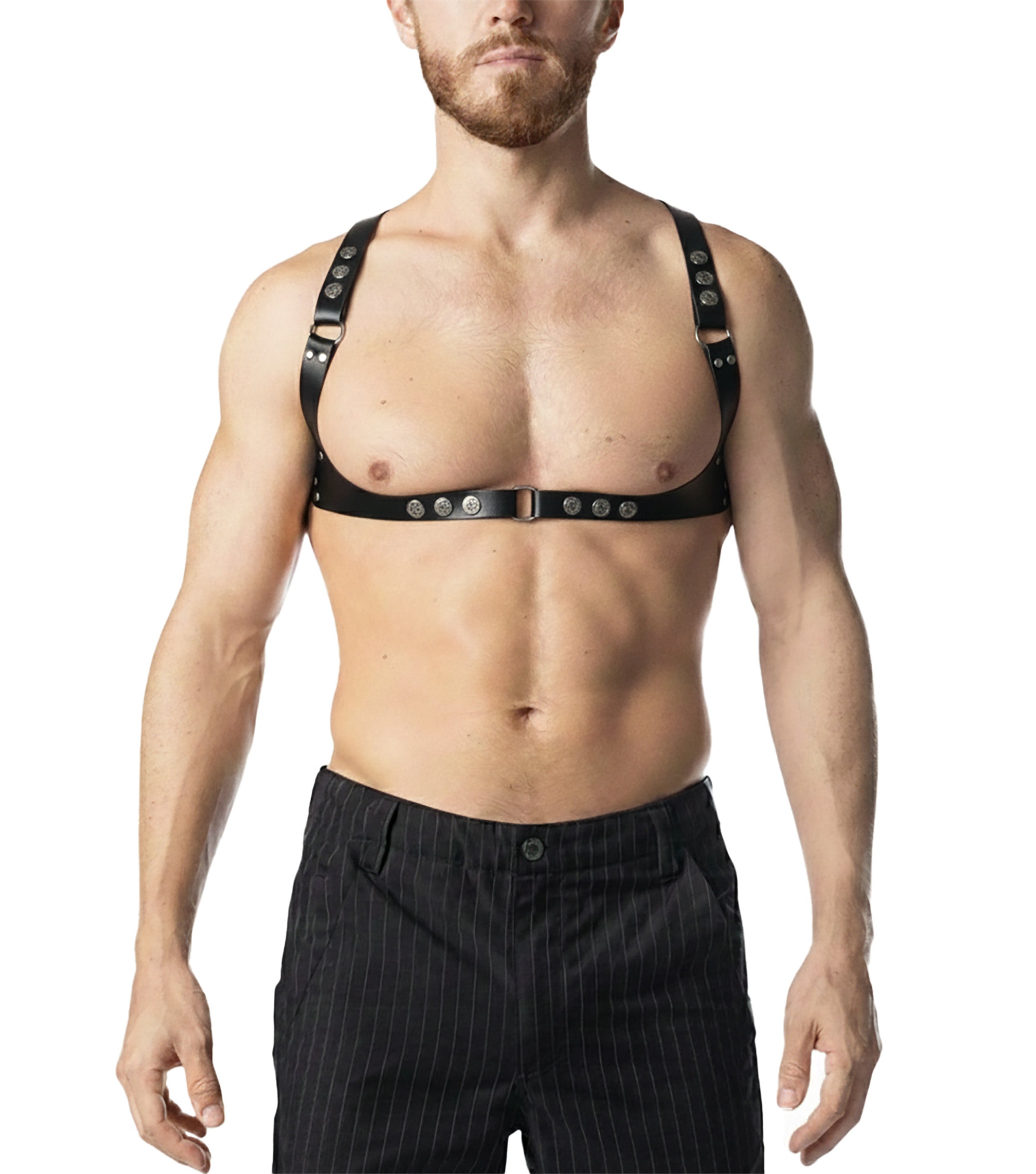 Anvil Hellinger Harness - Black