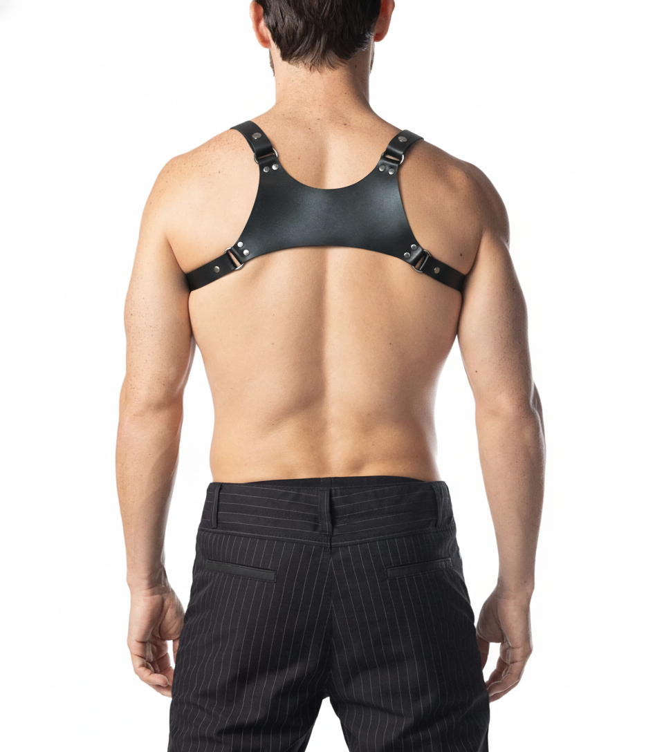 Anvil Hellinger Harness - Black