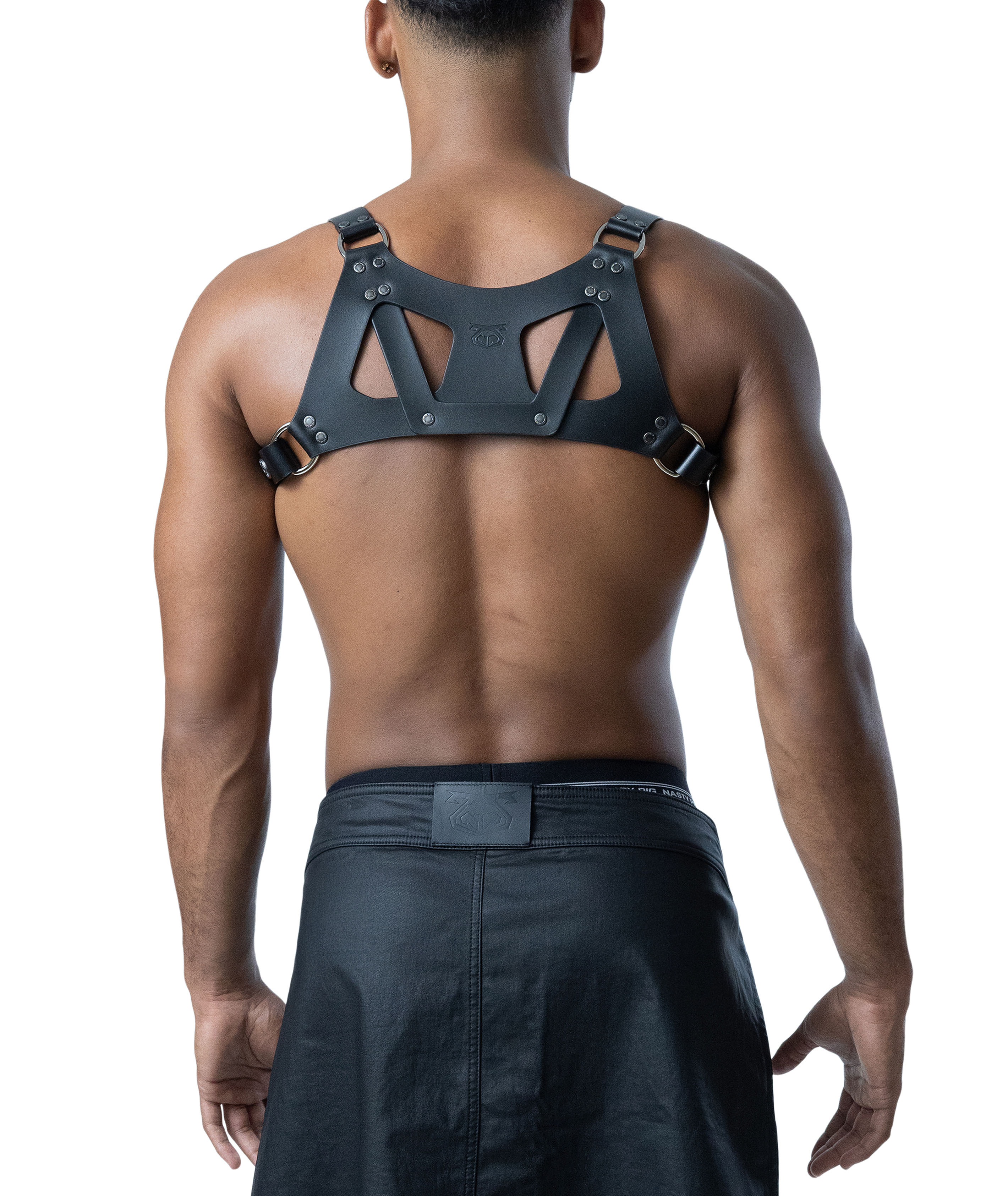 Anvil Leather Contact Harness - Black