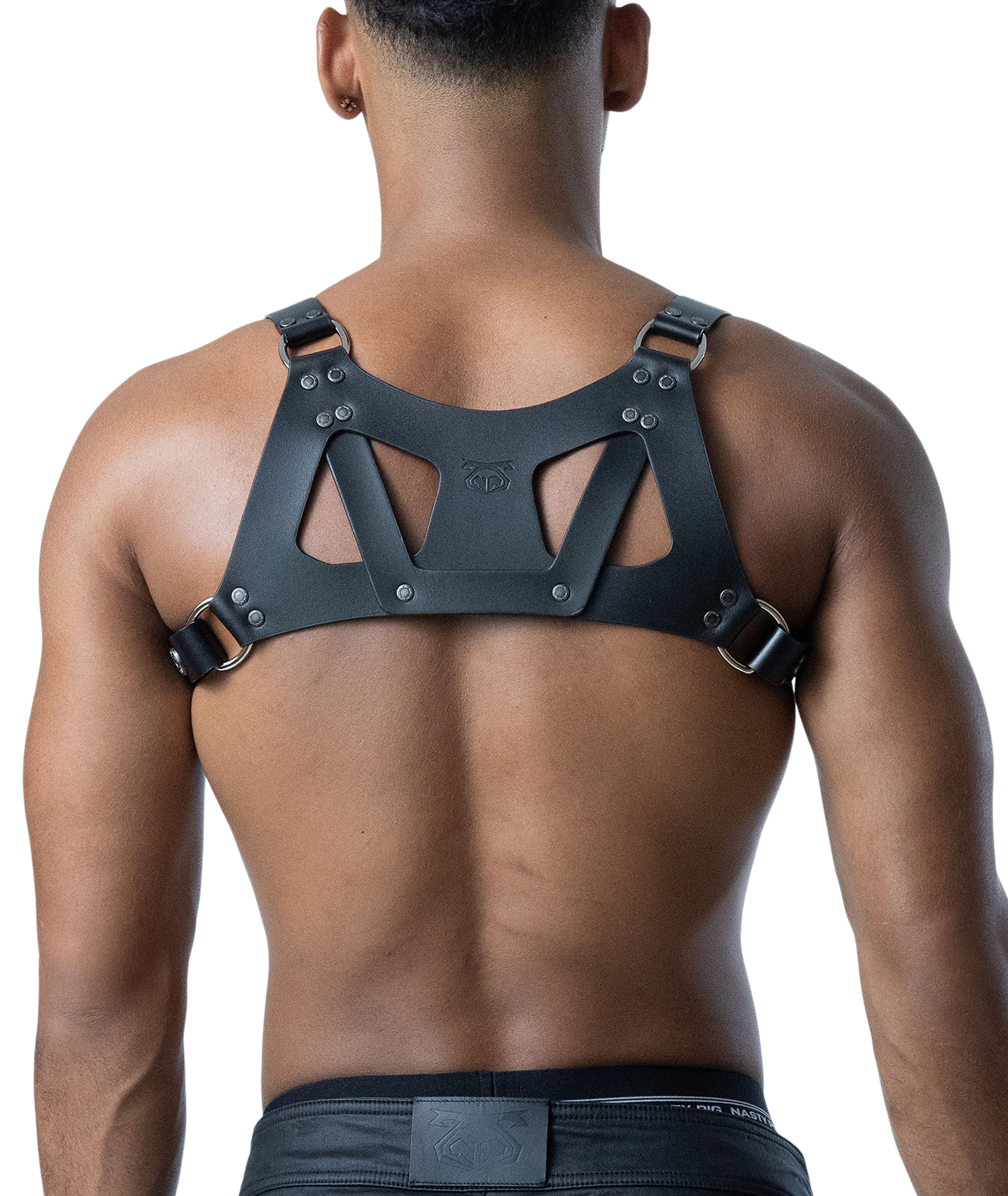 Anvil Leather Contact Harness - Black