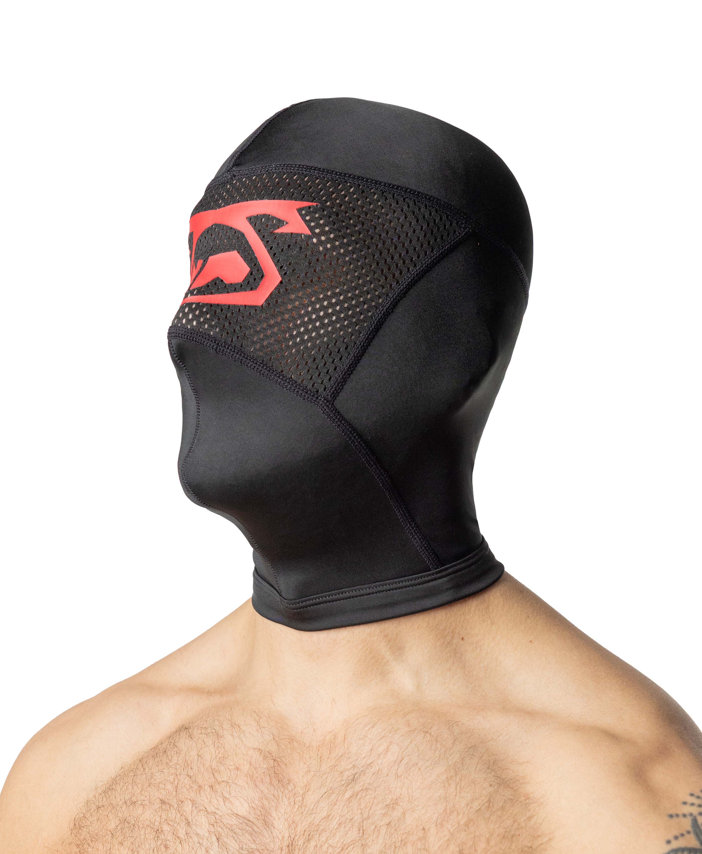 1/4 view of Wrecked Hood