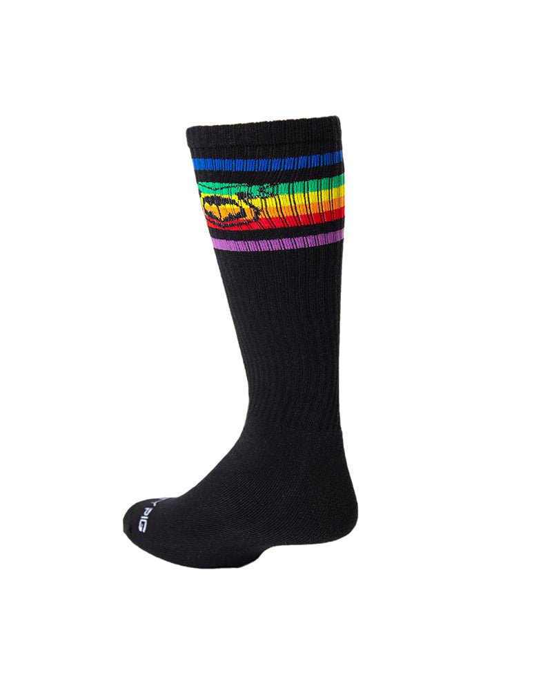 Pride Sock - NastyPig